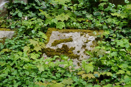 Bad Godesberg